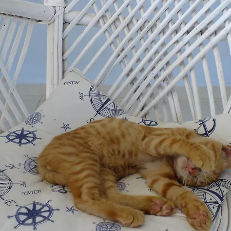 Dantel Sahil セリミエ