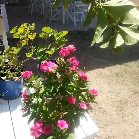 アパートホテル Dantel Sahil *