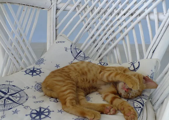 Dantel Sahil Selimiye (Aegean)