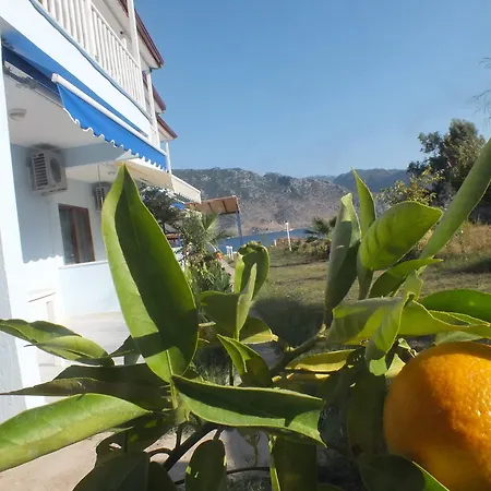 Dantel Sahil Selimiye (Aegean)