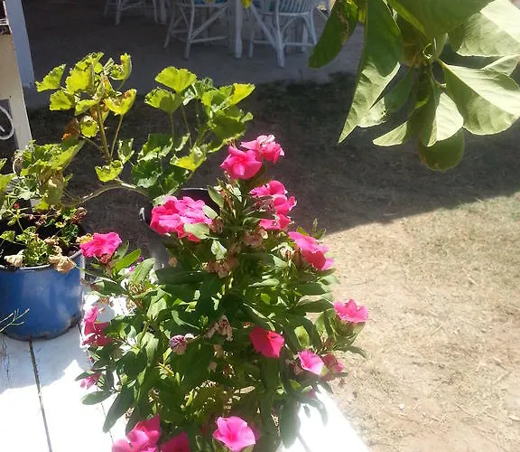 Aparthotel Dantel Sahil *